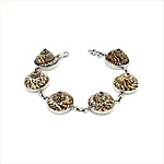 Sterling Silver and Sundial Shell Round Links Bracelet