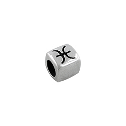 Sterling Silver Pisces-The Fish Square Bead